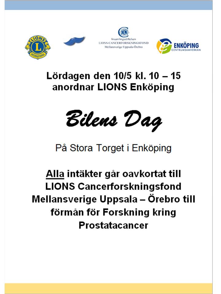Bilens Dag 2025